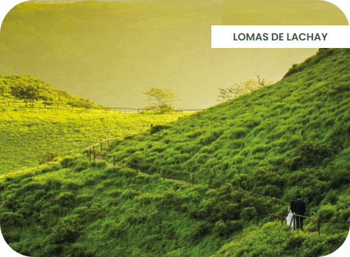 lomas de lachay